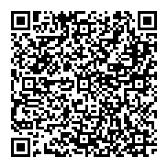 Ray's Mobile Pressure Washing QR vCard