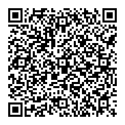 Travel Events Style QR vCard