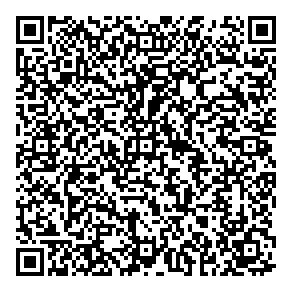 Phase 4 Hairstyling QR vCard