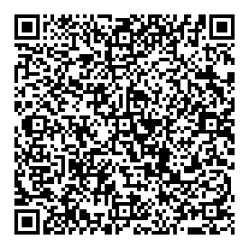Vionell Holdings QR vCard
