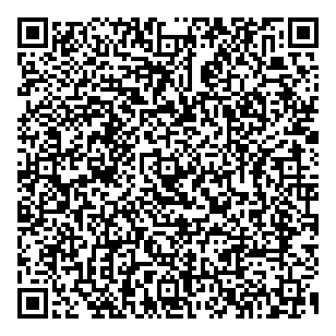 Adventures For Successful Sgls QR vCard