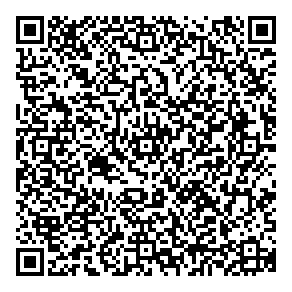 District Of Mystery Airport QR vCard