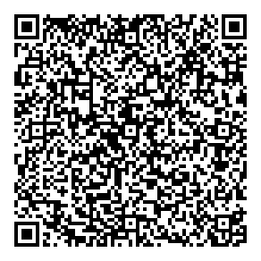 Lang Business Systems QR vCard