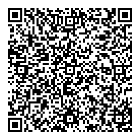 Working Solutions QR vCard