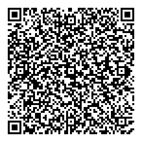 Pewter Graphics QR vCard