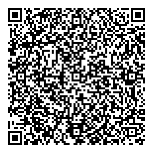 Lake City Ford Sales Limited QR vCard