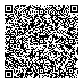 Directis Consulting QR vCard