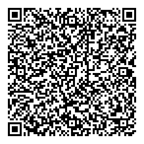Smiling Geek Consulting QR vCard