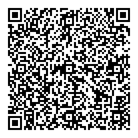 Mdg Consulting QR vCard