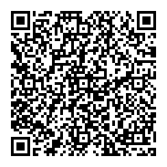 B L Levin QR vCard