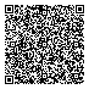 St Venture Consulting QR vCard