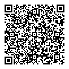 Dwight Palmer QR vCard