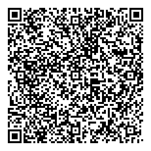 Northern Lights Therapy Spa QR vCard
