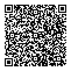 Lisa Bruesch QR vCard