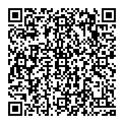 Gisele Messner QR vCard