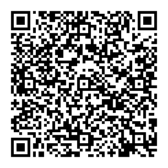 D Liserani QR vCard