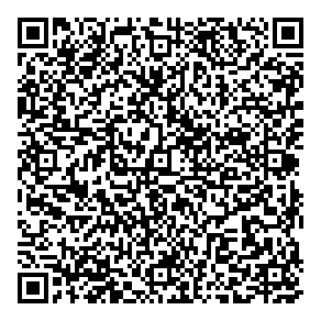 Straight Line Painting QR vCard