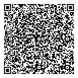 First Legion Group Llc QR vCard