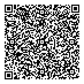 Systems Interactive QR vCard