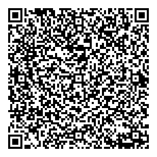 Bassan Ss Consulting Engineer QR vCard