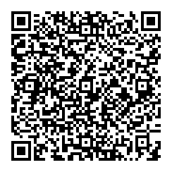 Pasquale Caccavale QR vCard