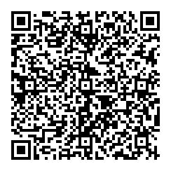 Lisa Melanson QR vCard