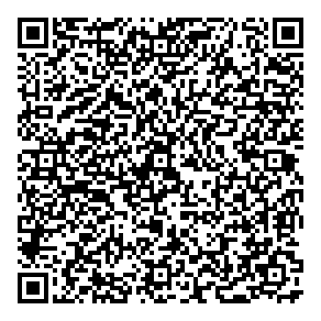 Paint To Perfection QR vCard
