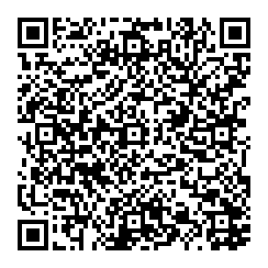 M Disano QR vCard