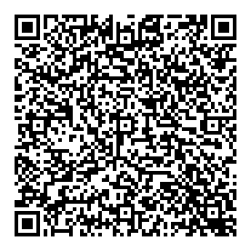 Adi Electrique QR vCard