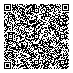 Brisset Beer Intl Inc QR vCard