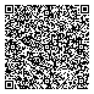 Microplay Video Game Stores QR vCard