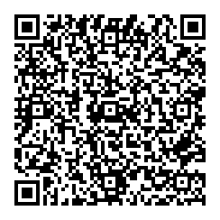 Dan Mapson QR vCard