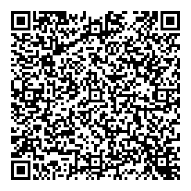 Dlo Consulting QR vCard
