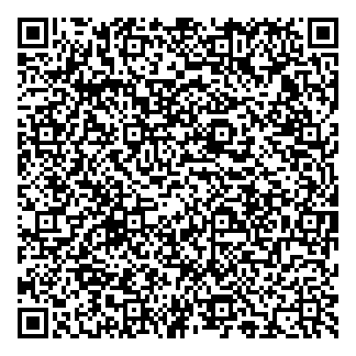 Clean Current Power Systems Incorporated QR vCard