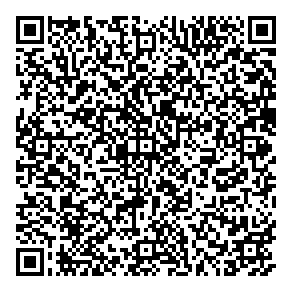 Differential Solutions QR vCard
