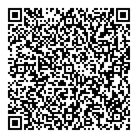 All In Limousines QR vCard