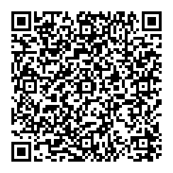 L Larsen QR vCard