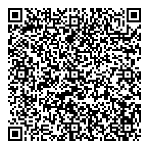 Nevermore Toys Games QR vCard