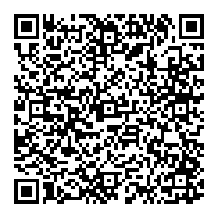 L Van Straaten QR vCard