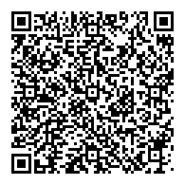 Netsolver Computers Consulting QR vCard