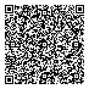 Dst Consulting Engineers QR vCard