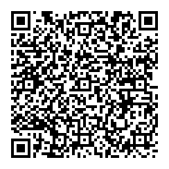 Dan Brisson QR vCard