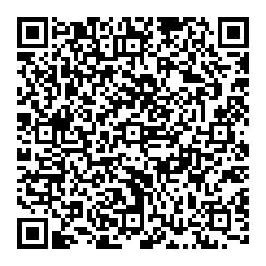 L Vieceli QR vCard