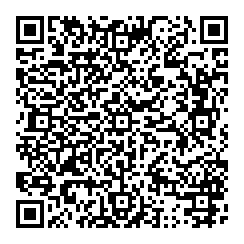 P Salvati QR vCard