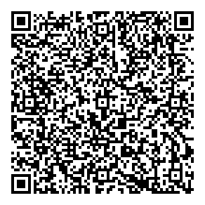 Trudel Consulting QR vCard