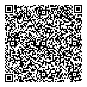 Lew Sales Consulting QR vCard