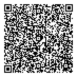 Pabs Consulting Inc QR vCard