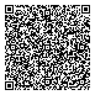 Lillian's Hairstyling Tanning QR vCard