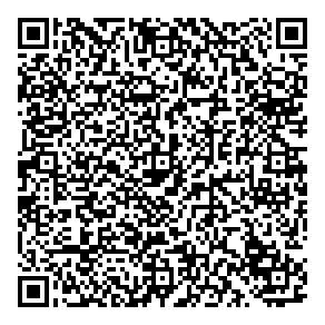 Lo-cost Painting QR vCard