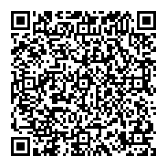 Darlene Levy QR vCard